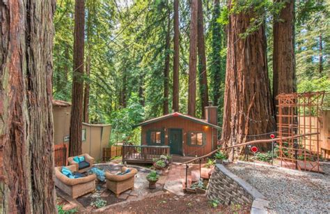 Tiny Cabin Surrounded By Giant Redwood Trees