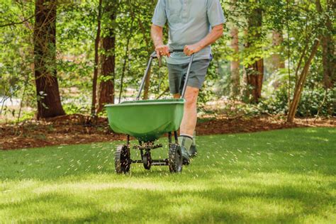 When Is The Best Time Of Day To Fertilize Your Lawn