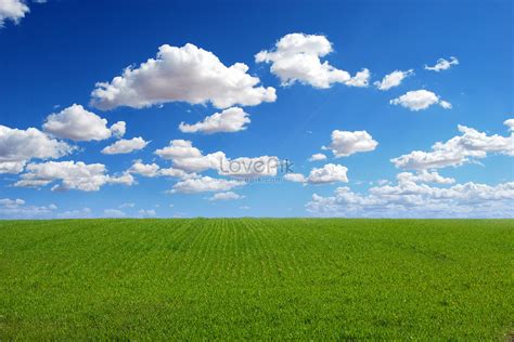 Blue Sky Green Grass Creative Imagepicture Free Download 500575551