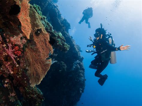 Things To Consider For An Incredible Scuba Diving Trip In Bali Alpha World Diving