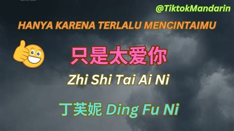 Lagu Mandarin Sedih Zhi Shi Tai Ai Ni只是太爱你 Hanya Karena Terlalu
