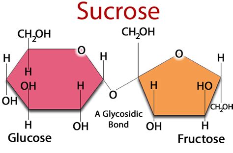 What Is Fructose Why Is High Fructose Corn Syrup Bad