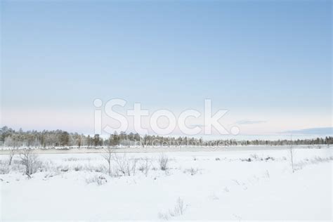 Frozen Lake In Inari Lapland Finland Stock Photo Royalty Free