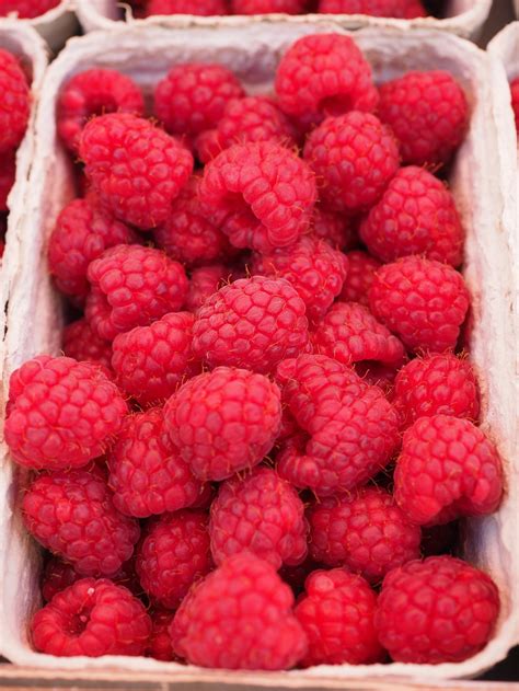 Red Raspberry On White Container · Free Stock Photo