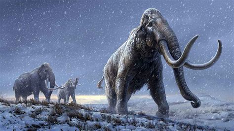 12 Million Years Old Mammoth Remains Reveals The Worlds Oldest Dna