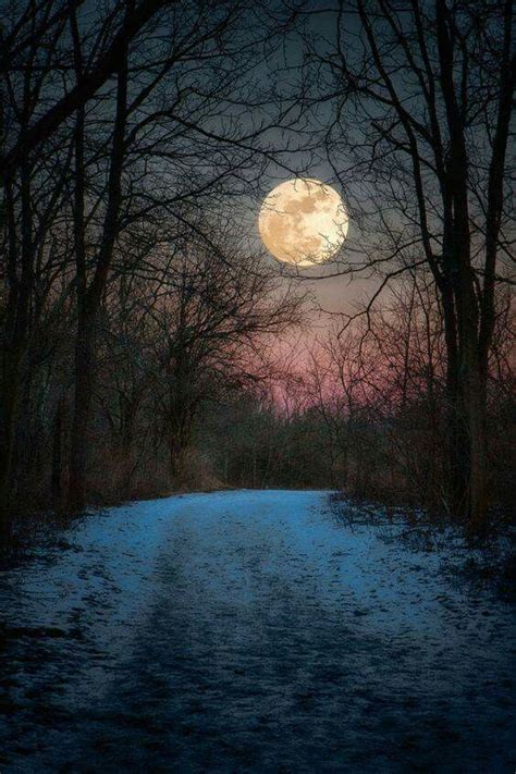 343 Best Moonlight Images On Pinterest Beautiful Moon