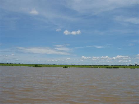 Brazilian Soul Alma Brasileira On The Paraguay River No Rio Paraguai
