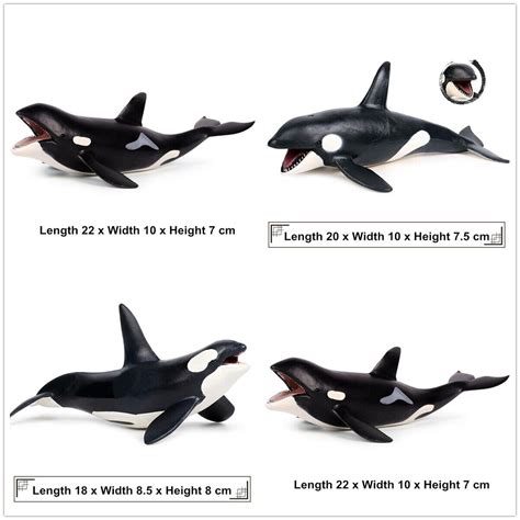 Killer Whale Grampus Orcinus Orca Figure Animal Model Collector Toy
