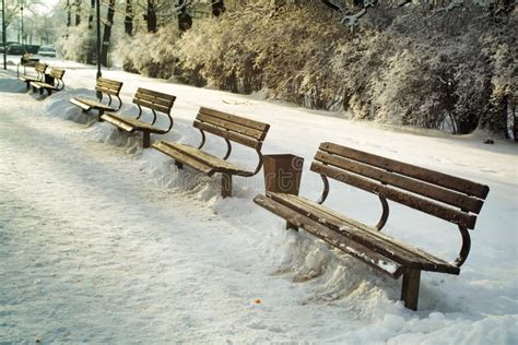 Benches In The Park In The Winter Stock Photo Image Of Road