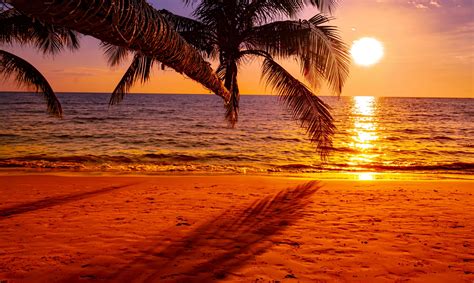 Beautiful Sunset On The Beach With Palm Tree For Travel And Vacation