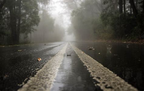 Photo Wallpaper Road Drops Rain Haze Rainy Day Rainy Road