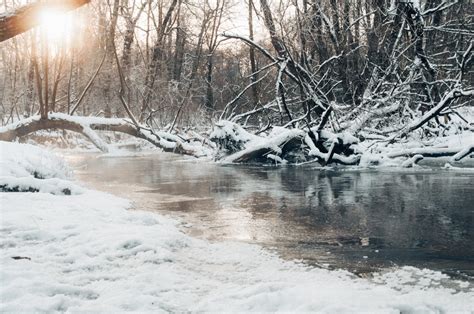 Free Images Tree Water Branch Snow Frost River Stream Ice