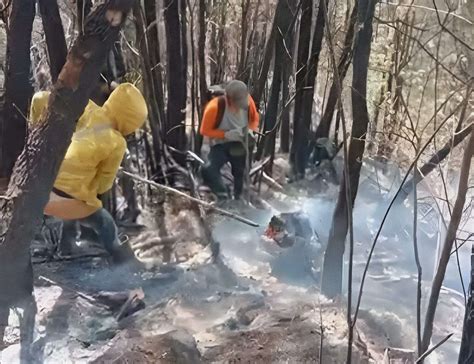Pemadaman Kebakaran Hutan Di Gunung Kawi Dok Bpbd Kabupaten Malang