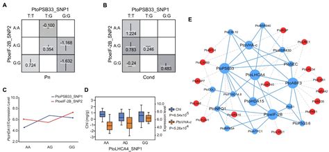 Frontiers Transcriptome And Association Mapping Revealed Functional