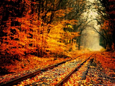 Download Autumn Wallpapers 2560×1600 High Definition