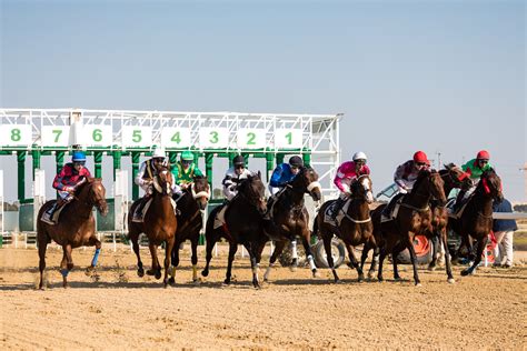 Primera Carrera De Caballos Del Año 2019 En El Gran Hipódromo De