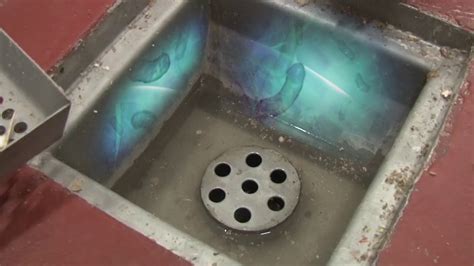 Listeria In Drains Youtube