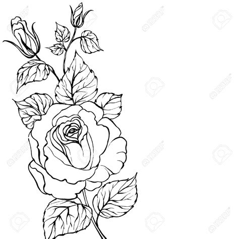Check out our flower drawing selection for the very best in unique or custom, handmade pieces from our prints shops. Traditional Rose Tattoo Drawing at GetDrawings | Free download