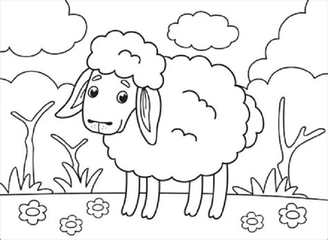 11 Contoh Sketsa Domba Mudah Dan Simple Broonet