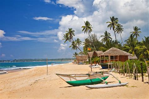 3 Great Ideas For A Sri Lanka Honeymoon Insight Guides Blog