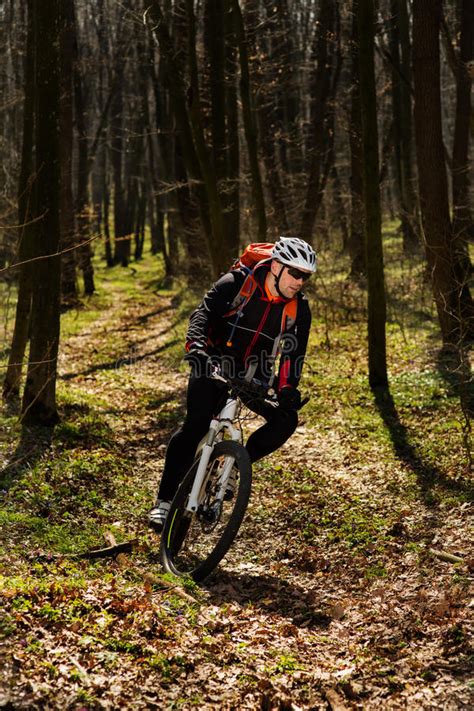 Cyclist Riding The Bike On A Trail In Summer Forest Stock Image Image