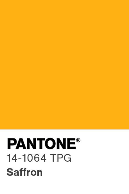 Pantone® Usa Pantone® 14 1064 Tpg Find A Pantone Color Quick
