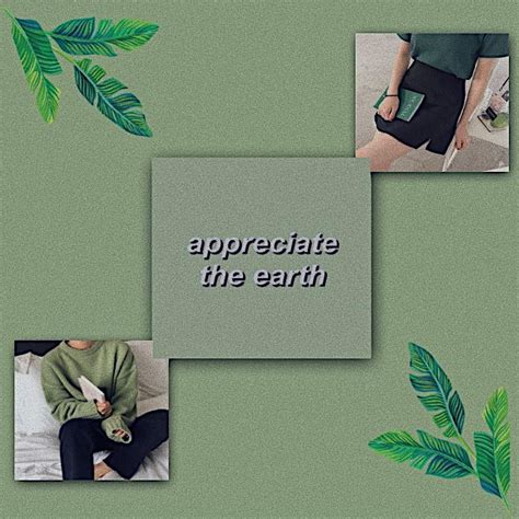 Green Aesthetic~🌿 Símply Aesthetíc Amino