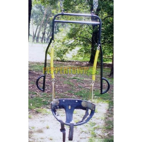 Adult Special Needs Super Swing With Frame By Peppertown Online Store