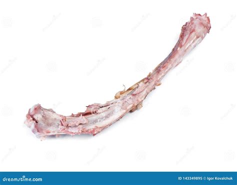 Single Bone With Flesh Stock Image Image Of Rack Meat 143349895