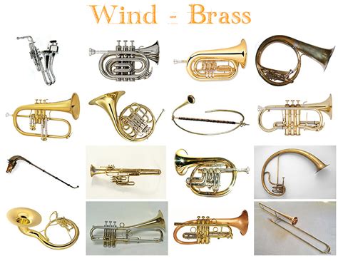 Types Of Brass Instruments