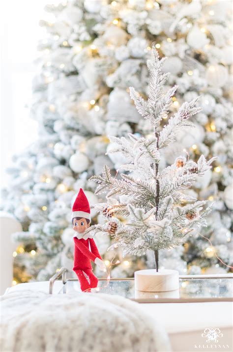 10 Adult Elf On The Shelf Ideas For This Holiday Season