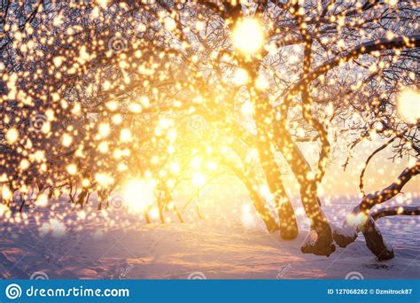 Christmas Background With Glowing Snowflakes Shining