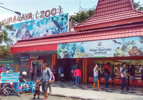 Kebun Binatang Surabaya Newstempo