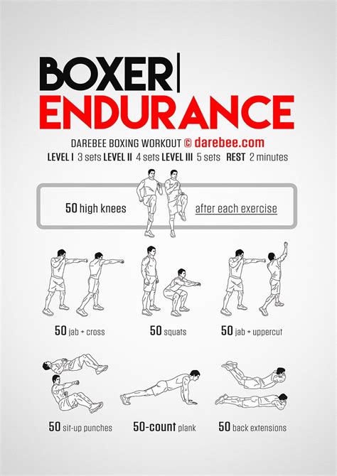 Boxer Endurance Workout Concentration Full Body Endurance Workout