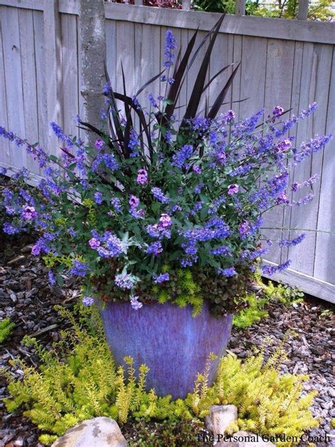 Pin By Susan Biscoe On Flowers Container Garden Design Container