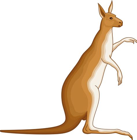 Kangaroo Clipart Mammal Kangaroo Mammal Transparent Free For Download