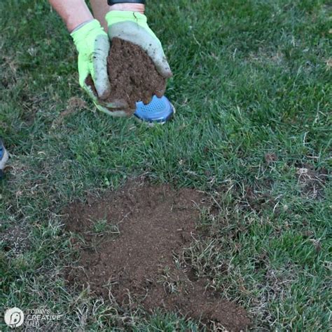 10 best grass seeds of july 2021. When to Reseed Lawn and Tips for Reseeding | Today's ...