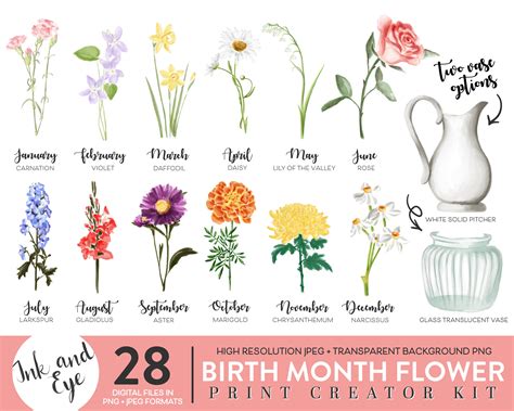 Birth Month Flowers Clipart Watercolor Floral PNG bundle DIY | Etsy