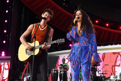 Camila Cabello Hints At Shawn Mendes Romance In New Song Snippet