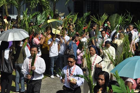 Tak hanya itu saja, ruang gereja pun dipenuhi daun palem. NEWS UPDATE ~ Diocese of Sandakan: MINGGU PALMA MULANYA ...