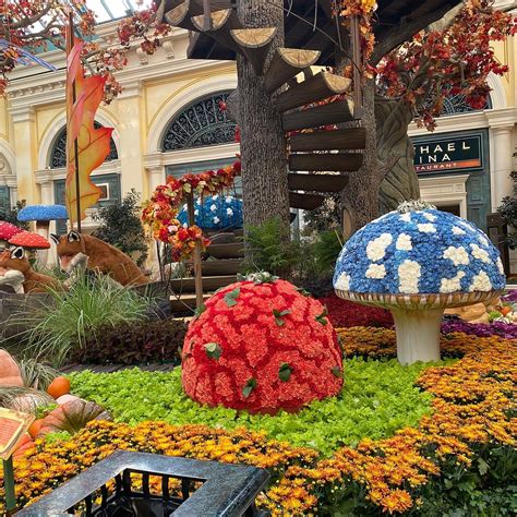 Bellagio Conservatory And Botanical Garden Las Vegas All You Need To