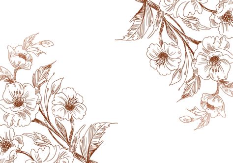 Vintage Flower Sketch Vector Art Icons And Graphics For Free Download