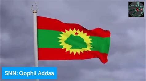 Haala Yeroo Oromiyaa Youtube