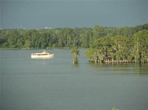 We did not find results for: Fort Wilderness at Walt Disney World Resort