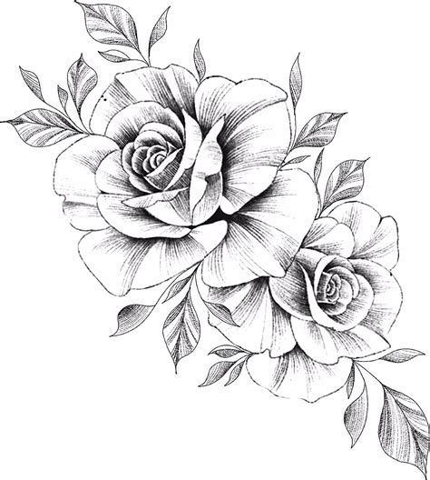 Https://tommynaija.com/tattoo/rose Drawing Tattoo Design