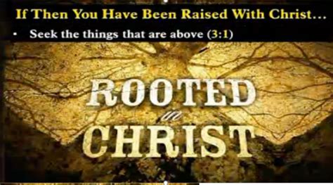 Rooted In Christ Bibletube