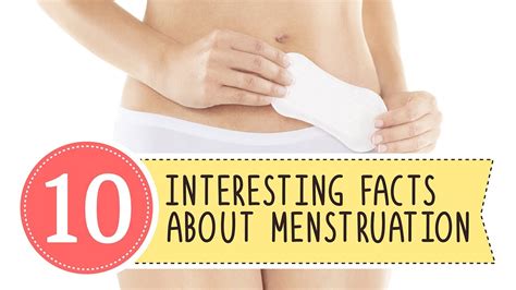 10 Interesting Facts About Menstruation Youtube