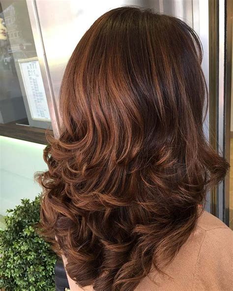 This link is to an external site that may or. 23 Chestnut Hair Color Ideas That Will Take Over in 2020 ...