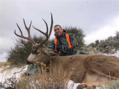 Wyoming Big Game Hunting