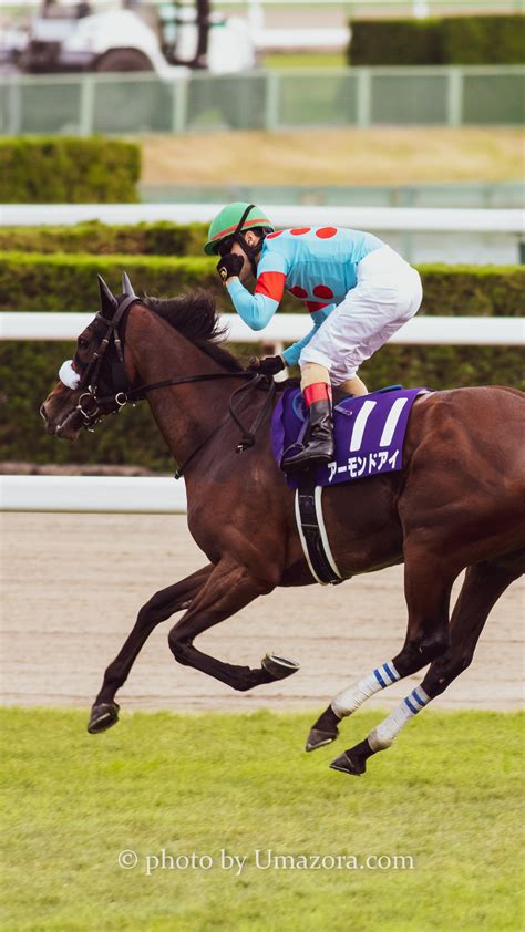 Download 競馬壁紙 アーモンドアイ パソコン Images For Free